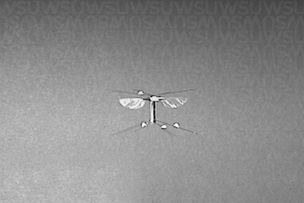 robotic bee from Washington State University