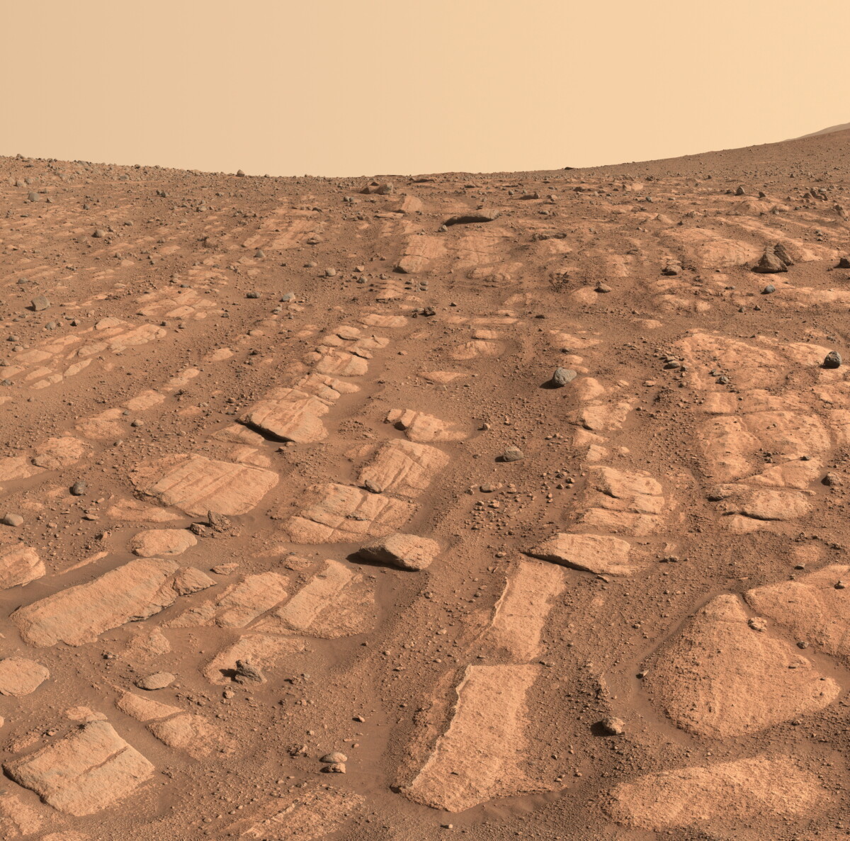 Mars river