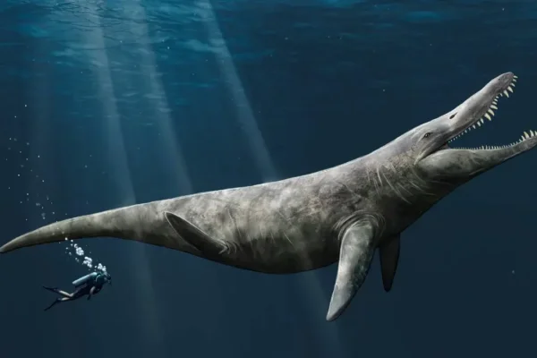 An artist’s impression of the pliosaur.