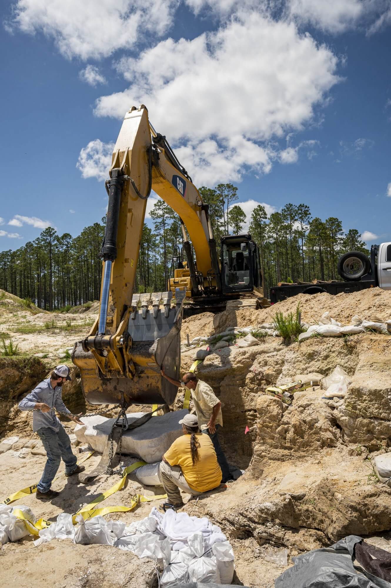 Researchers and volunteers with the Florida Museum of Natural History have discovered the ancient remains of several gomphotheres at a fossil site in North Florida.