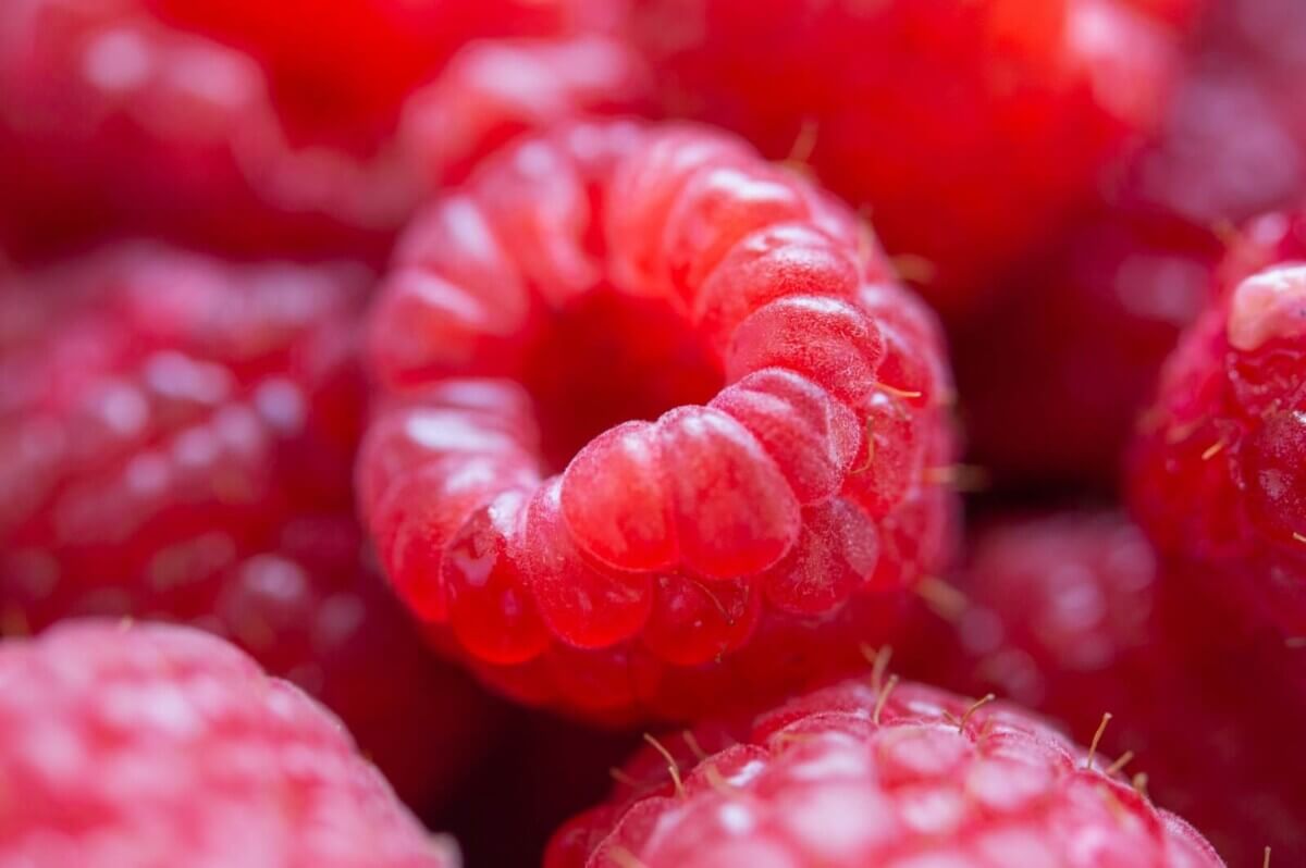 red round fruits in close up photography