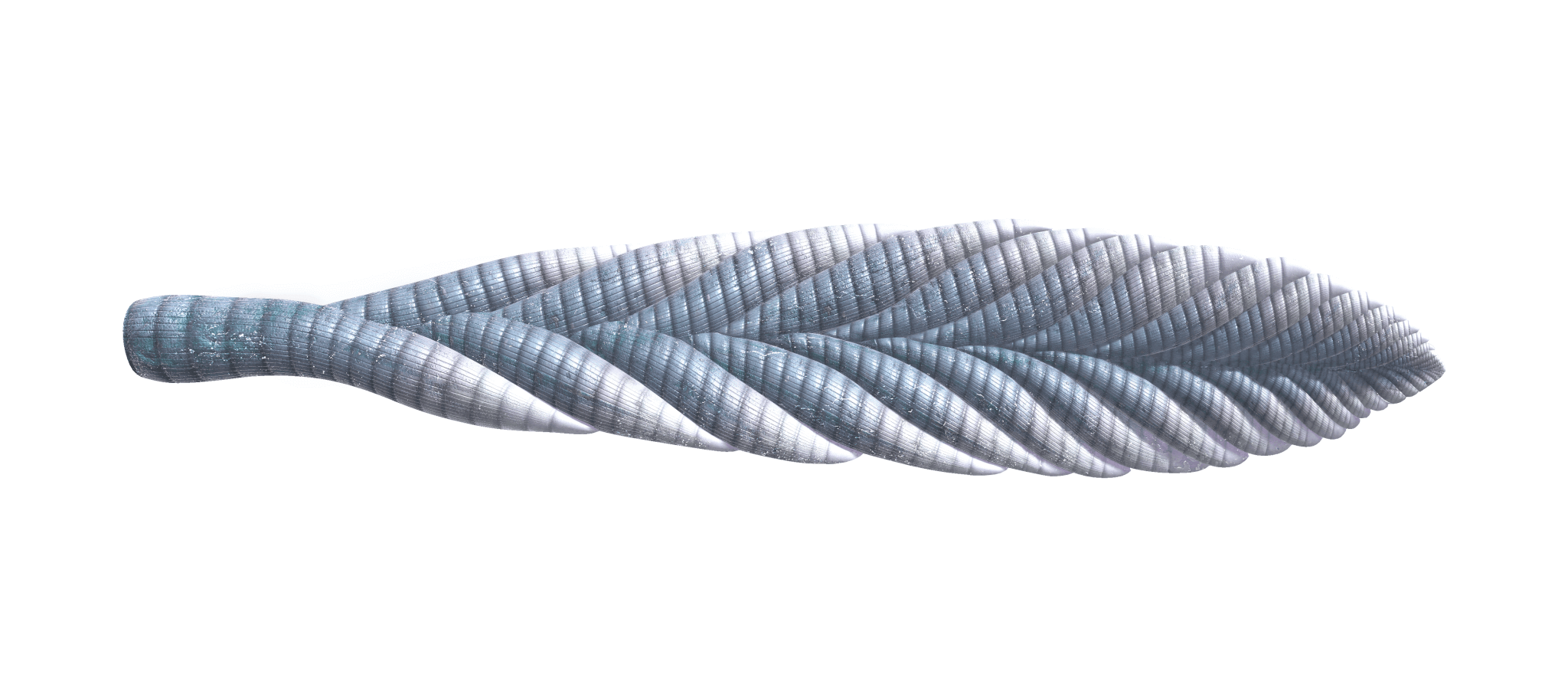 Reconstruction of Charnia, a candidate for the first animal fossil from the Ediacaran Period as old as 574 million years ago. 