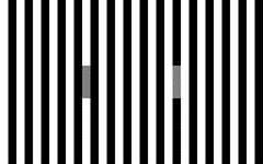 The two grey bars in the middle of this figure are the same grey, but the one on the left (surrounded by more black bars) appears darker.
