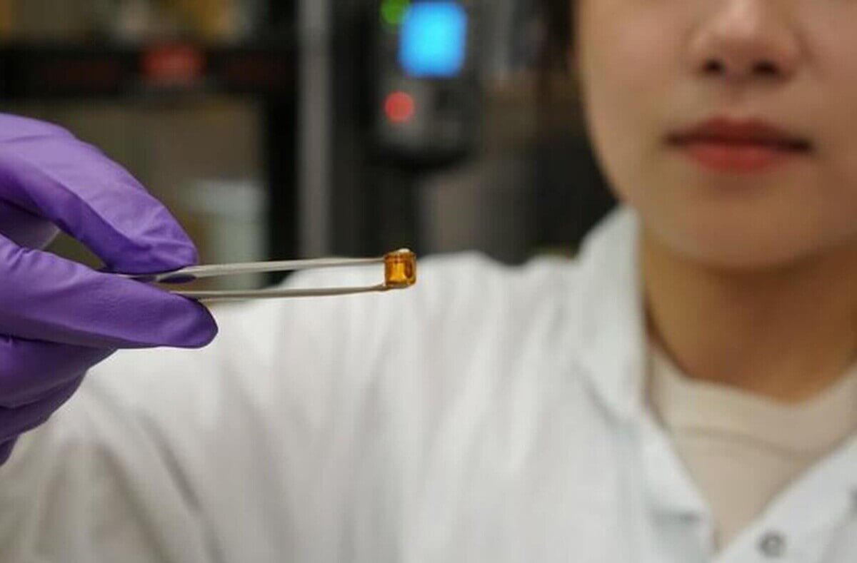 Dr. Linglan Fu holding the hydrogel