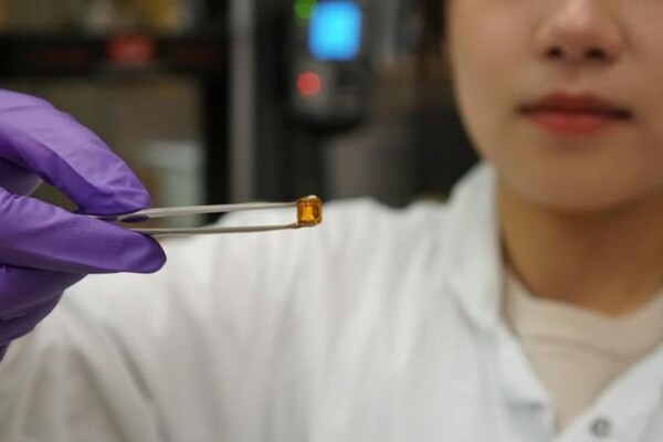 Dr. Linglan Fu holding the hydrogel