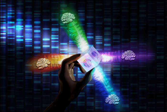 Machine learning of brain-behavior dimensions reveals four subtypes of autism spectrum disorder linked to distinct molecular pathways. Here, the 3D prism cube represents the machine learning of the three brain-behavior dimensions, etched onto the prism's glass. White light or “data” passes into the prism or "machine learning algorithm," splitting into four colored light paths that represent the spectrum of autistic people in the four autism subtypes. The painted background of a sequencing array represents the molecular associations of the autism subtypes.