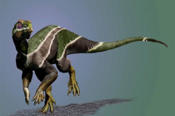 dinosaur Iani Smithi