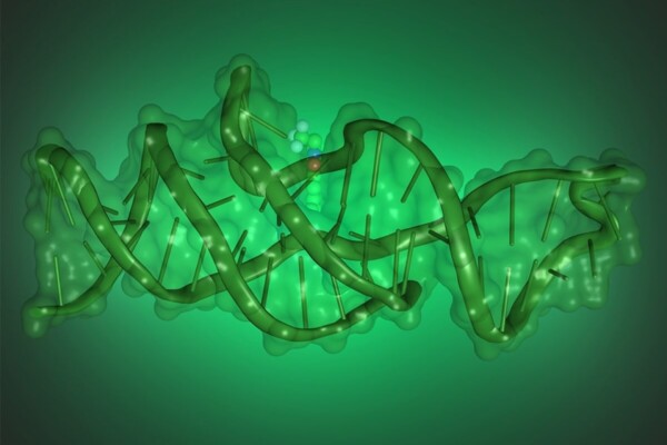 dna folding