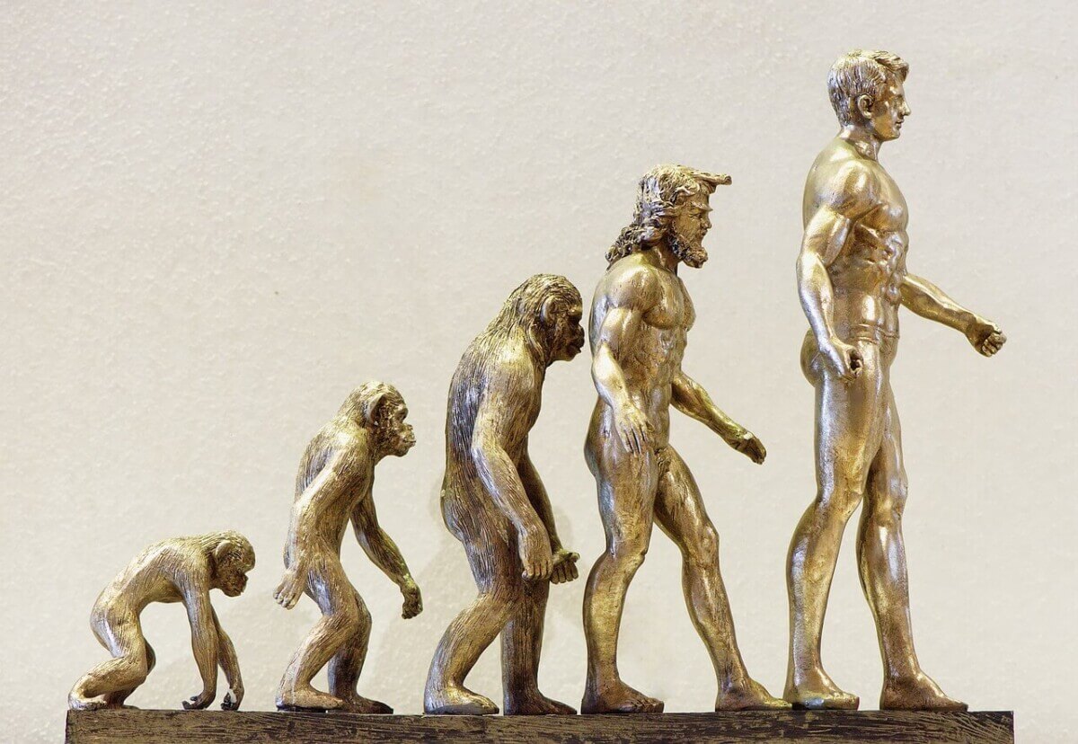 evolution-g0bb53561c_1280