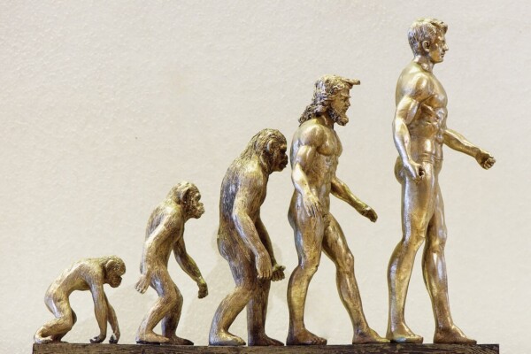 Statues of evolution development from ape to man