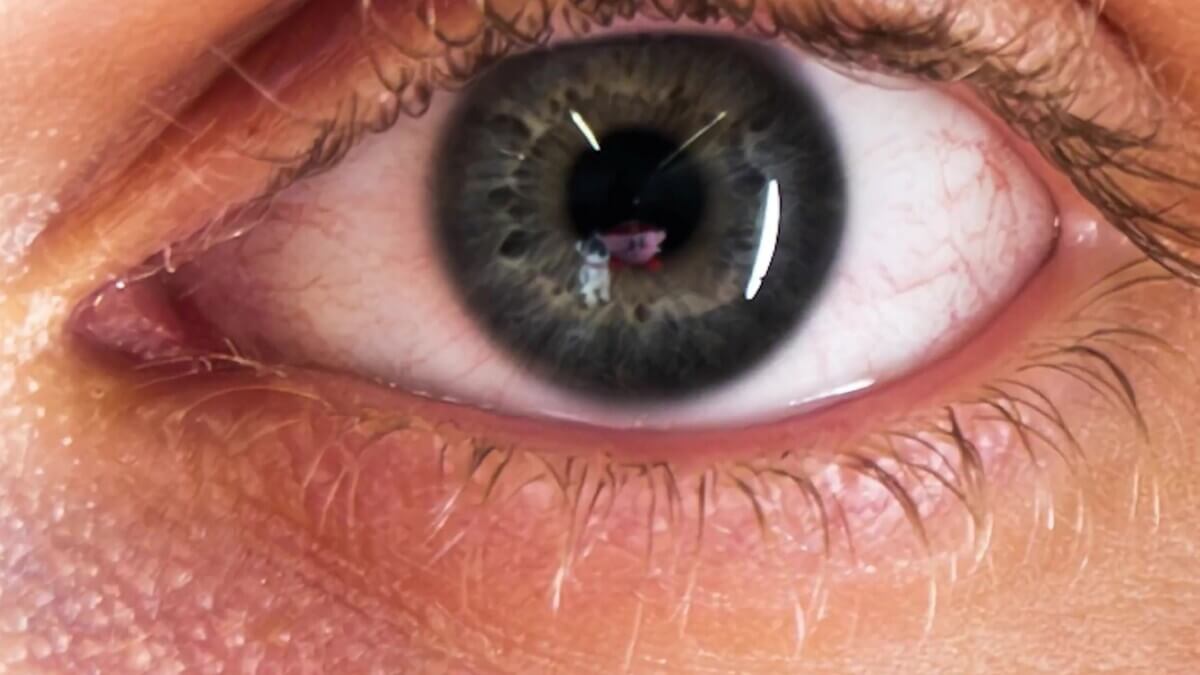 Toy dog seen in eye reflection.