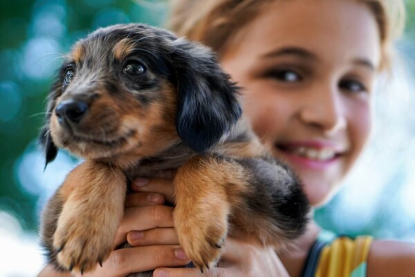 Young girl holding a puppy