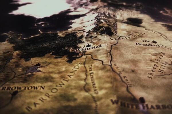 closeup photo of brown map