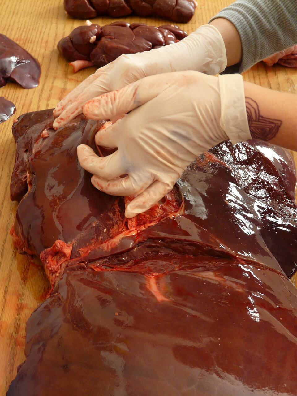 Beef Liver