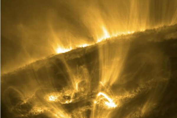 image of a shooting star on the sun loks like yellow rays coming out of a dark plant
