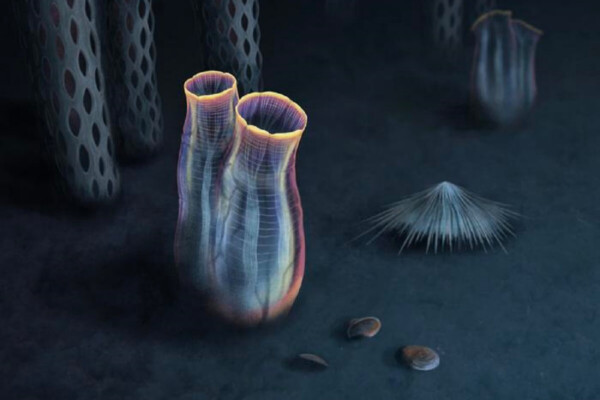 reconstructed image, Small sea creatures that look glowing blue vases with an orange rim at the opening