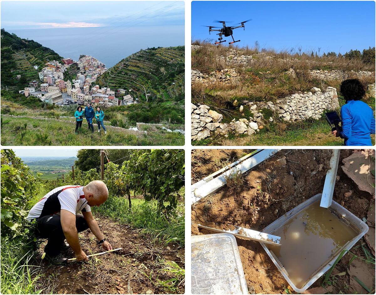 Drone view on Manarola dry-stone wall terraced landscape (UNESCO site and National Park); drone survey of an abandoned terrace system and soil erosion monitoring in Soave vineyard landscape