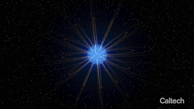 White dwarf magnetic field