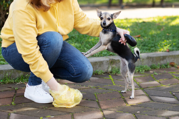 Woman cleaning up her dog's poop