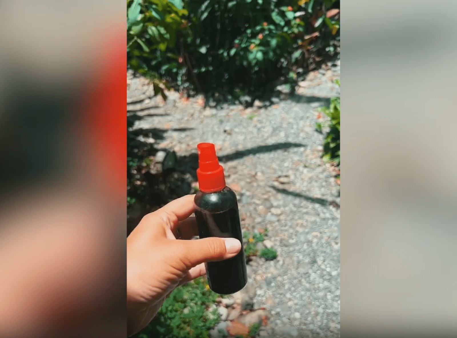 period blood 