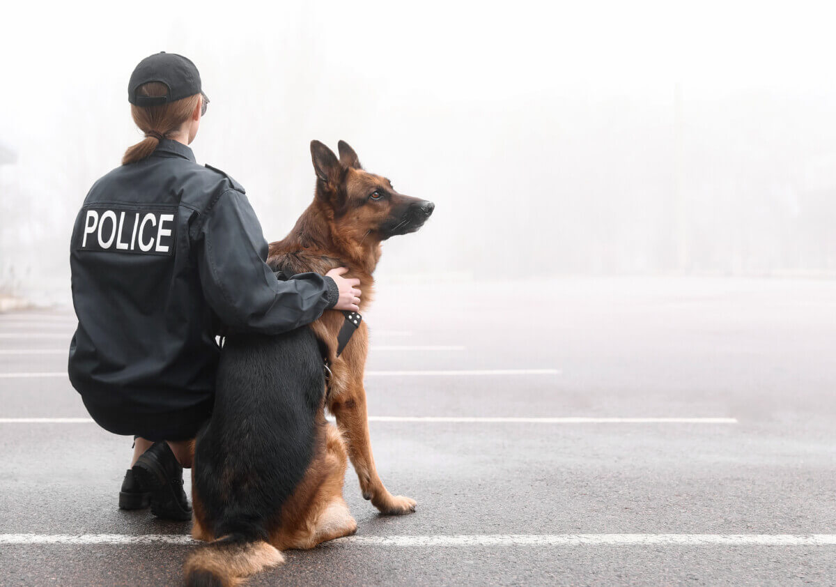 police officer with dog