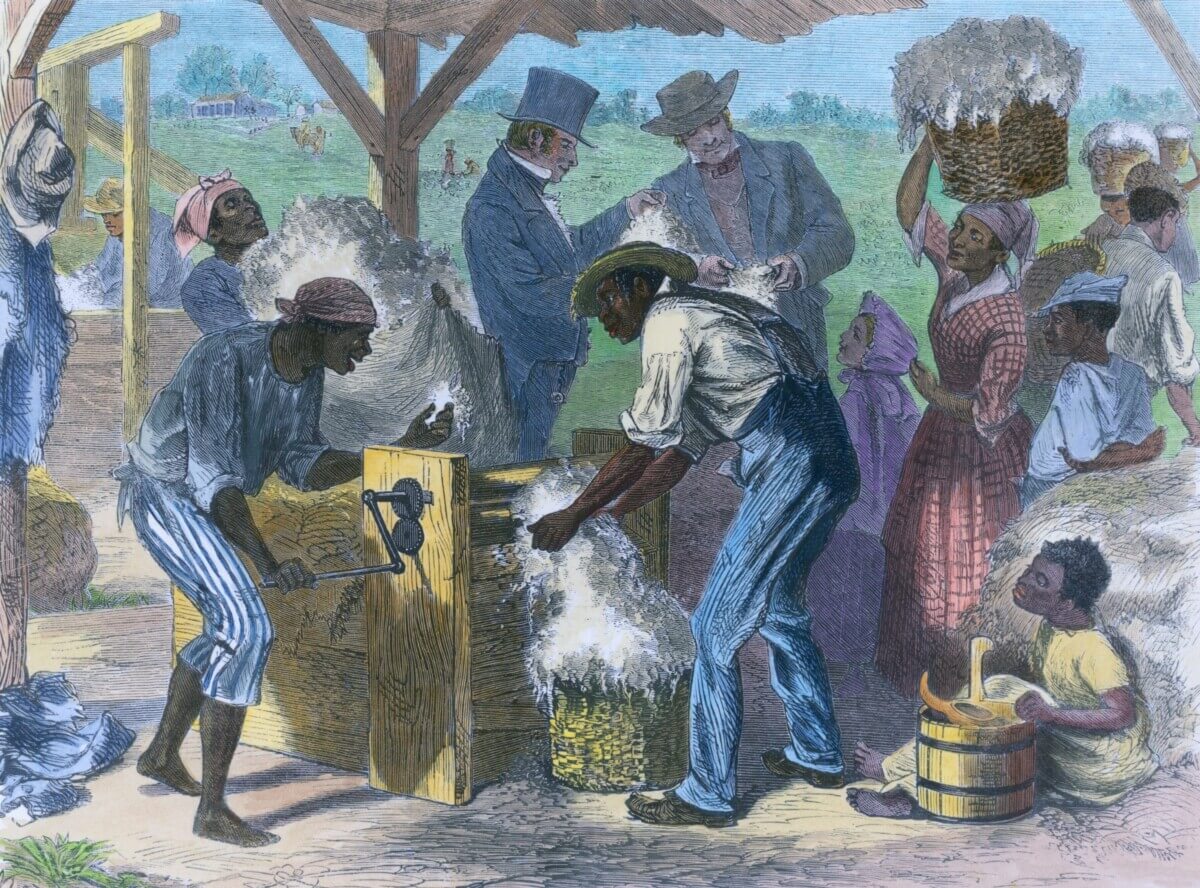 African American slaves using a cotton gin