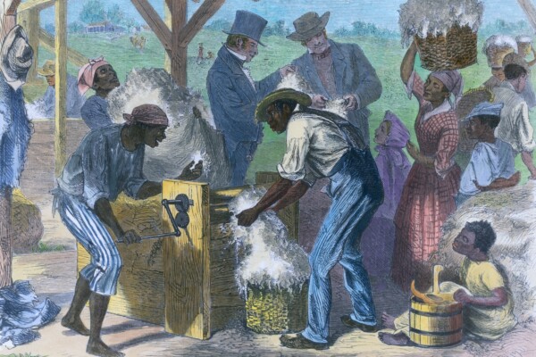 African American slaves using a cotton gin