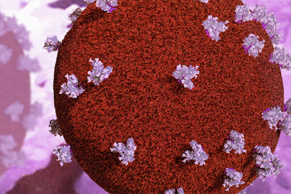 Image of an HIV genome