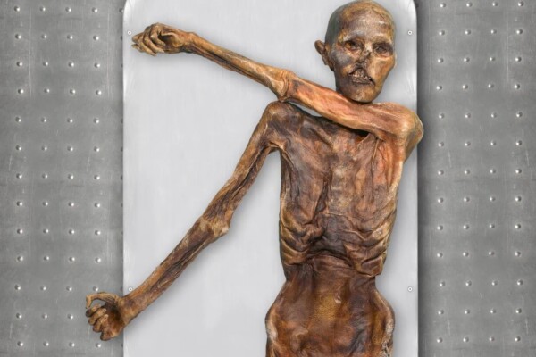 Ötzi, a dark skin, bald headed, Icman of Anatolian ancestry