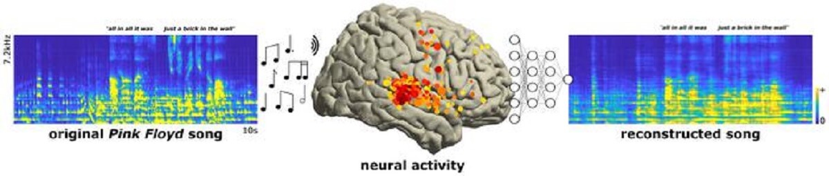 An image showing Pink Floyd song in blue with yellow soundwaves, a picture of a brain in the middle, another pic of soundwaves recorded from the brain while listening to song.