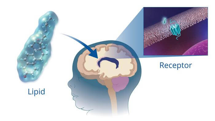 breast milk cerebral palsy