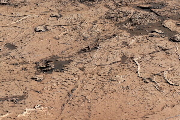 A close-up of the panorama taken by Curiosity's Mastcam at Pontours reveals hexagonal patterns that suggest these mud cracks formed after many wet-dry cycles occurring over years.