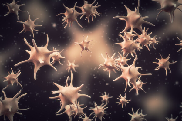 3D illustration of blood platelet