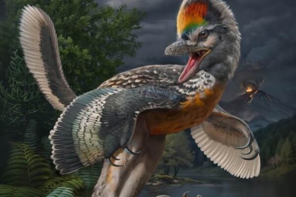 Life reconstruction of the 150-million-year-old avialan theropod Fujianvenator prodigiosus