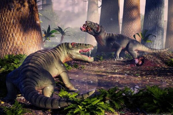 Artistic reconstruction of two Pampaphoneus biccai dinosaurs in the middle of the forest eating prey.