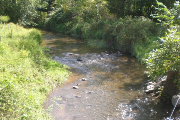 freshwater river
