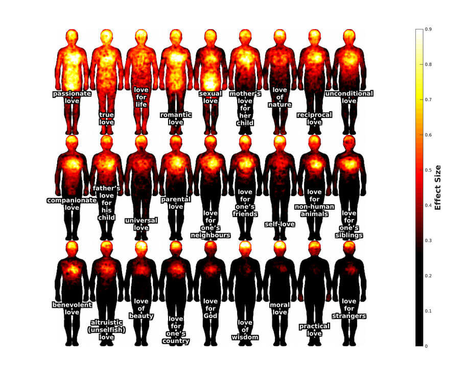 The types of love form a gradient in intensity and in how widely they're felt throughout the body