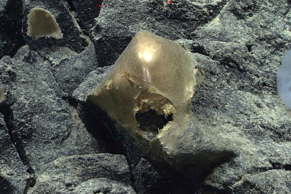 mysterious gold orb in ocean