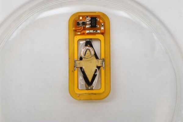 O2-Macrodevice submerged in liquid water, generating oxygen (bottom) and hydrogen (top) bubbles without the need for any batteries or wires.