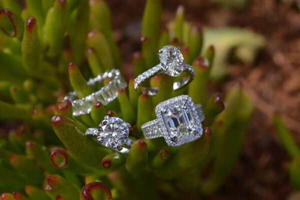 a couple of diamond rings sitting on top of a plant