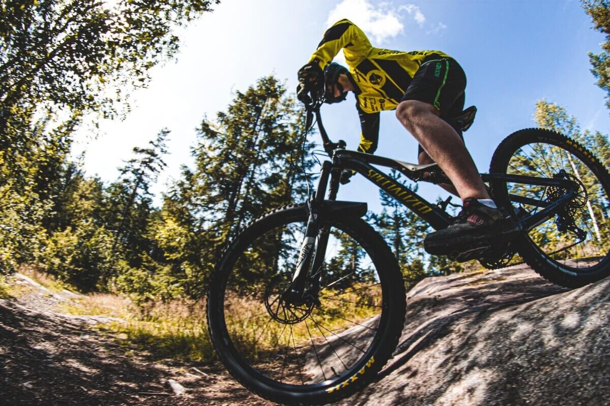 man riding bicycle in the woods