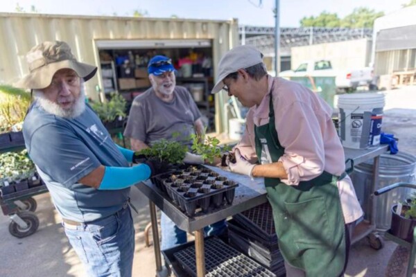 Senior volunteers stay active at the UC Davis Arboretum Nursery in Davis, Calif.