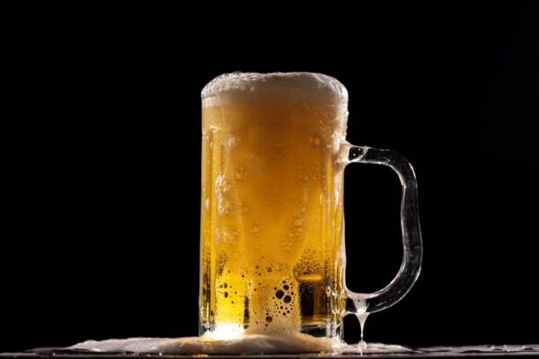 Stein beer mug