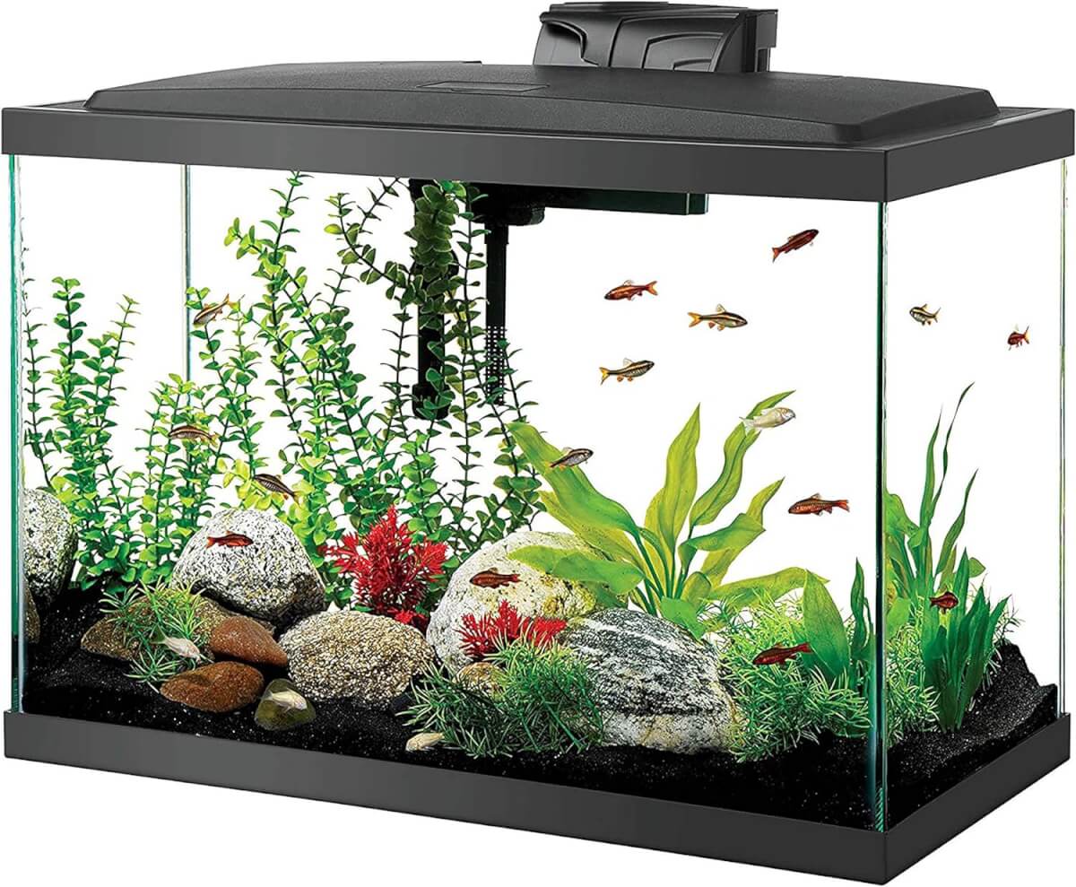 Aqueon LED Aquarium Starter Kit