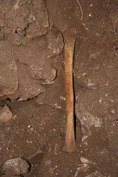 Human bone on surface, inside the cave.