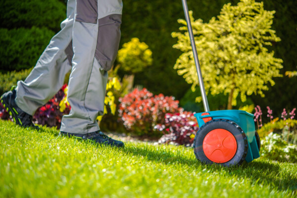 Man spreading fertilizer on his lawn and garden