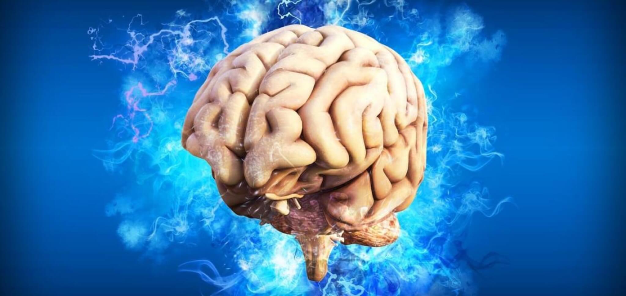 brain action