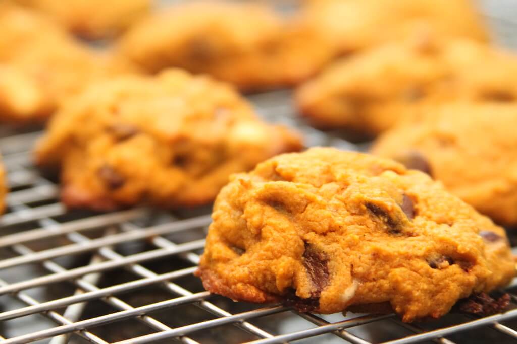 pumpkin chocolate chip cookies on a baking screen