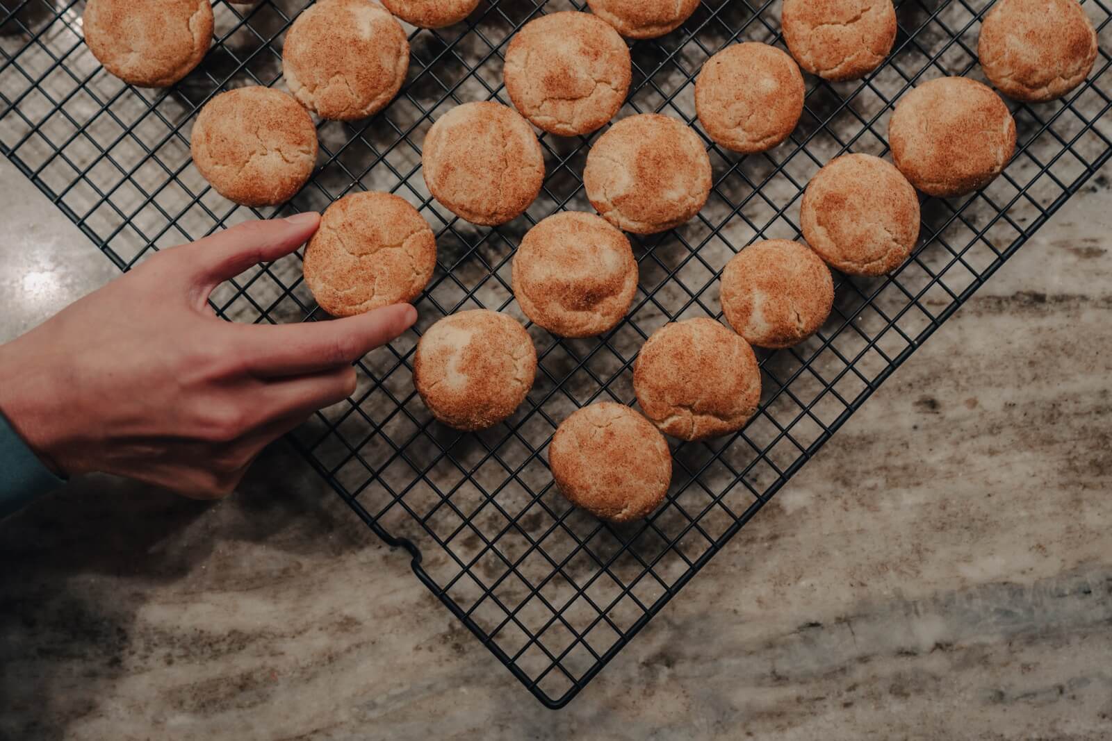 Pumpkin snickerdoodles