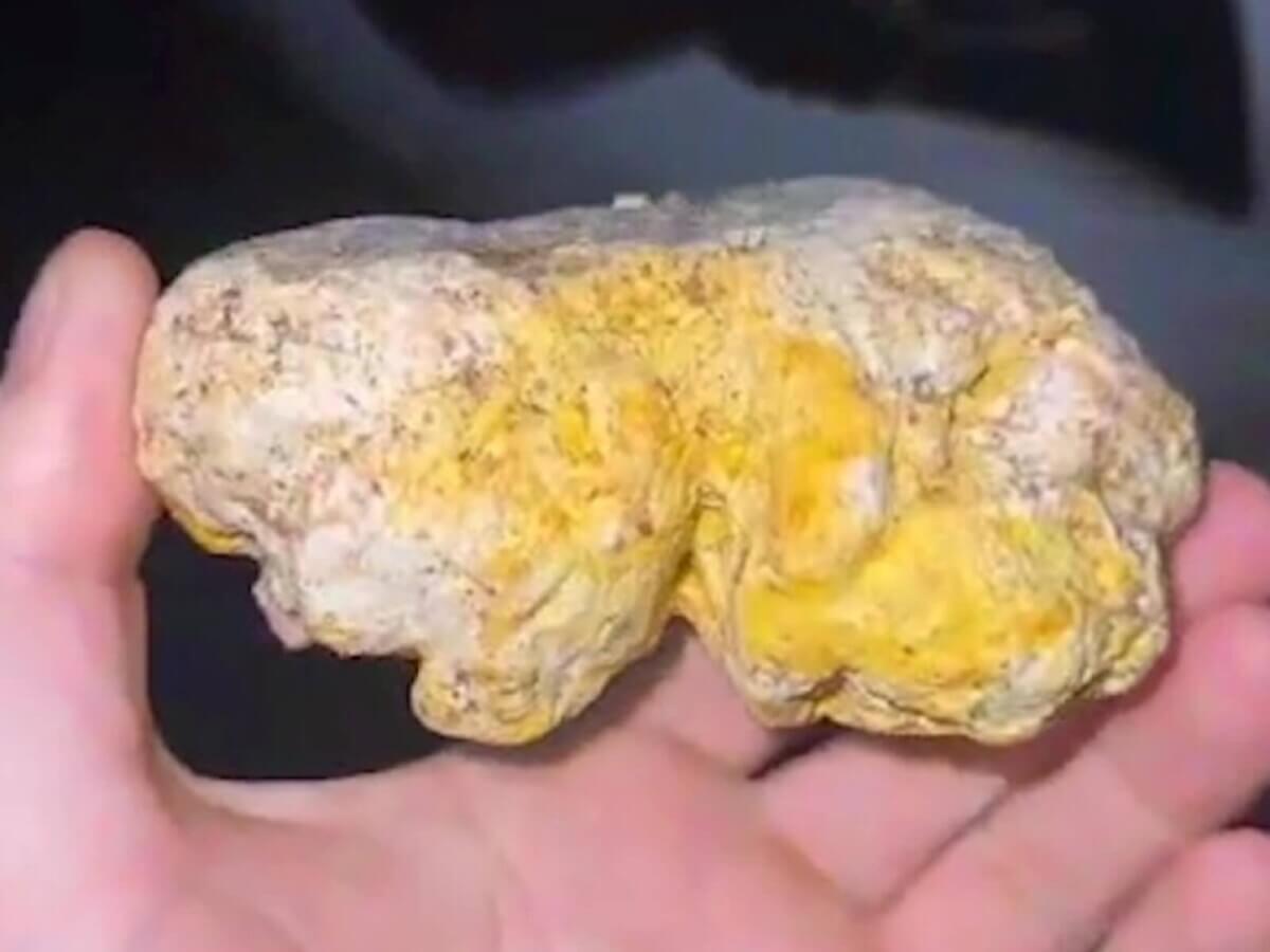 whale vomit